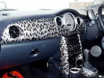 Car interieur animal hydrographics dipping